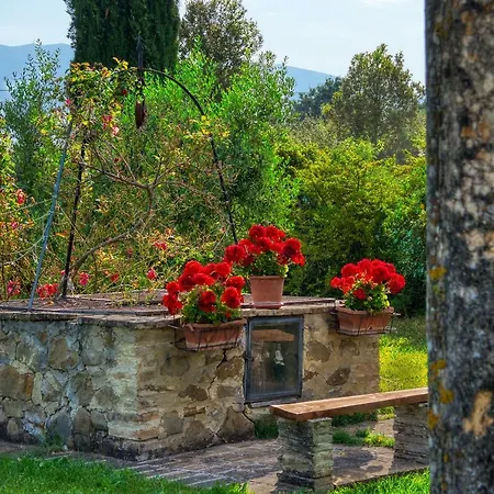 Le Terre Del Casale 阿西西