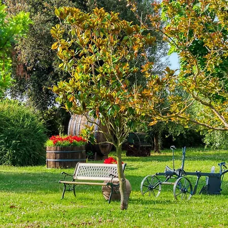 Le Terre Del Casale 阿西西