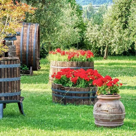 Le Terre Del Casale 公寓 阿西西